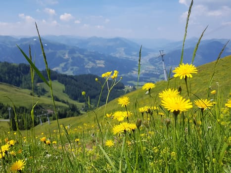 Kitzbueheler Alpen, Aussicht, Kitzbueheler Horn