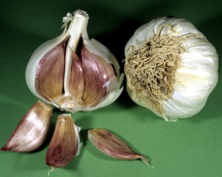 Knoblauch, Allium sativum, Knoblauchzehen, Knoblauchzehe, Heilpflanzen, -