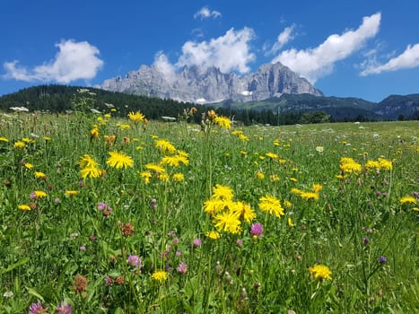 Wilder Kaiser, Tirol, Osterreich, Gebirge, Gebirgsstock