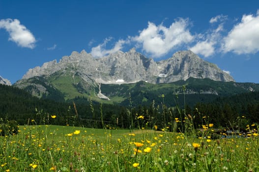 Wilder Kaiser, Tirol, Osterreich, Gebirge, Gebirgsstock