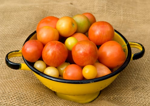 Korb mit Tomaten