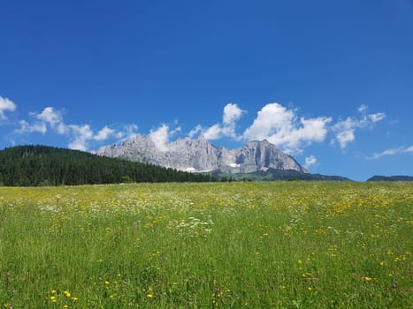 Wilder Kaiser, Tirol, Osterreich, Gebirge, Gebirgsstock