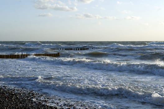 Wilde Ostsee