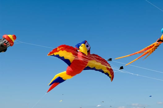 Drachen, Grossdrachen, Winddrachen, Flugdrachen