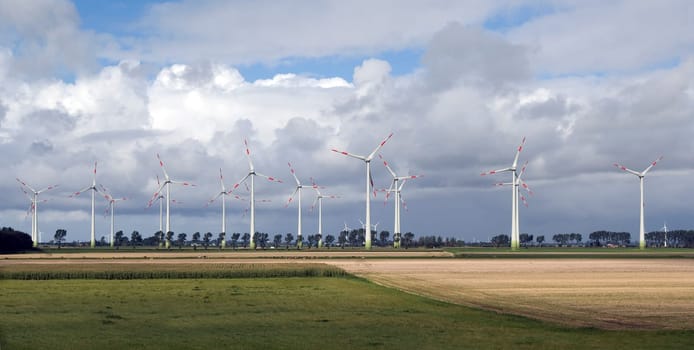 Windraeder, Dithmarschener Halbinsel