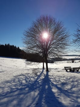 Winterlandschaft, Gegenlicht, Sonne