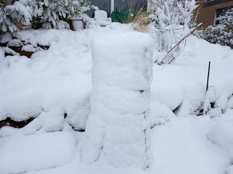 Winterschutz  Frostschutz, Schilfmatten
