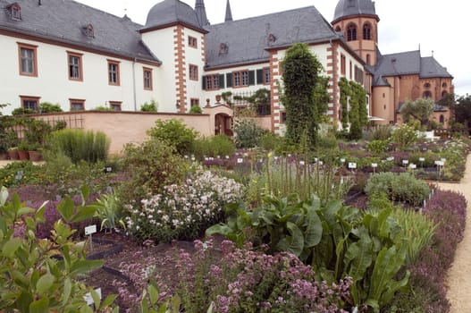 Kraeutergarten  Seligenstadt, Heilpflanzen