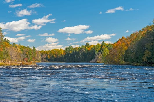 North Woods River Flowing into the Fall Colors on the Piers Gorge Trail in Michigan
