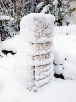 Winterschutz  Frostschutz, Schilfmatten