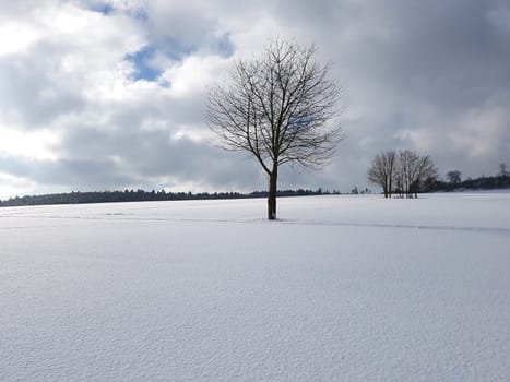 Winterlandschaft, Taunus, Taunusstein