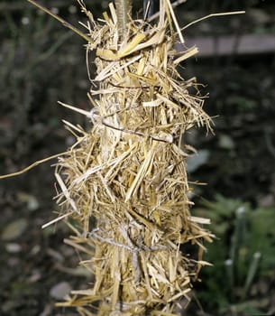 Winterschutz, Stroh, S