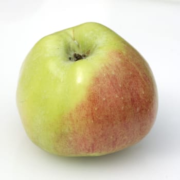 Kriwitzer-Apfel, Apfelsorte, Apfel, Kernobst, Obst