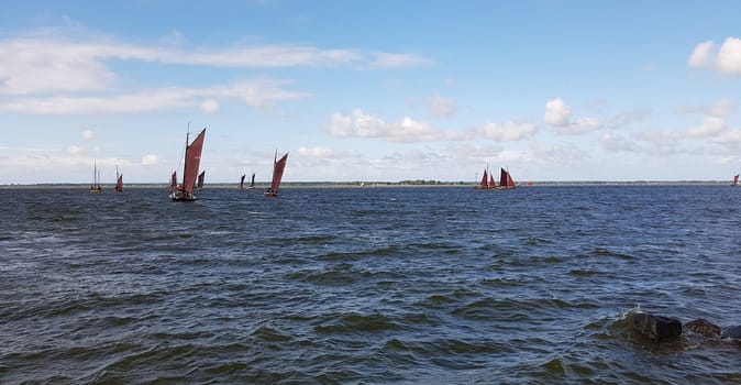 Zeesboote, Regatta in der  Boddenlandschaft in  Mecklenburg-Vorpommern. Zeesboot, regatta in the lagoon landscape in Mecklenburg-Western Pomerania.