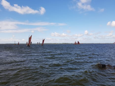 Zeesboote, Regatta in der  Boddenlandschaft in  Mecklenburg-Vorpommern. Zeesboot, regatta in the lagoon landscape in Mecklenburg-Western Pomerania.