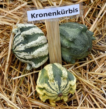 Kronenkuerbis, ist ein Zierkuerbis und eine schoene attraktive Gartenfrucht. Crowns pumpkins, is a Ornamental pumpkin  and a beautiful attractive garden fruit.