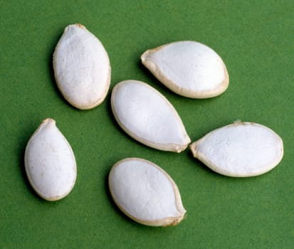 Kuerbis, Curcurbita maxxima, Speisekürbis, Gartenfrucht, Kuerbisse, Cucurbita, Kuerbiskerne.