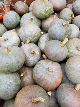 Speisekuerbisse, Cucurbita pepo