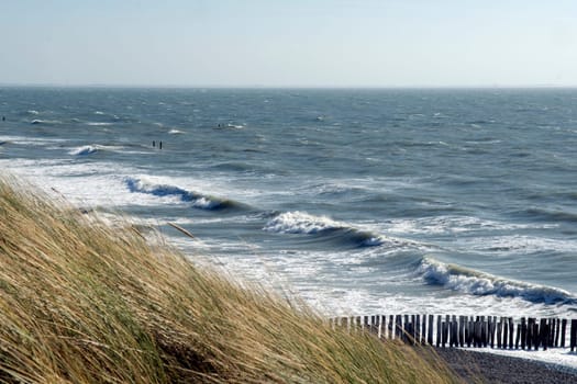 Kueste, Westkapelle, Landschaft