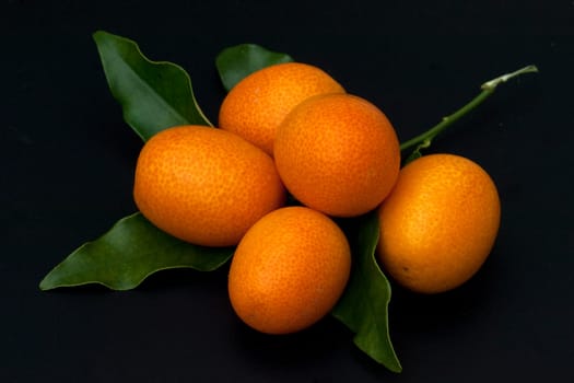Kumquats  Fortunella  Citrus