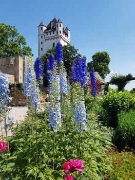Burg Eltville,  Deutschland,  Eltville,  Rhein