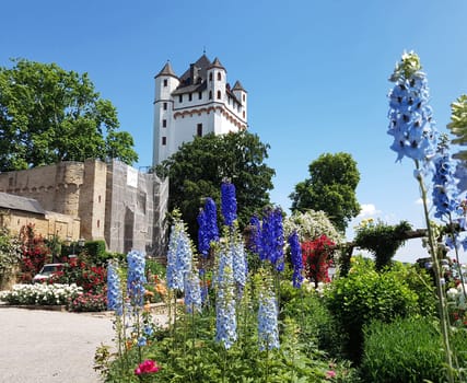 Burg Eltville,  Deutschland,  Eltville,  Rhein