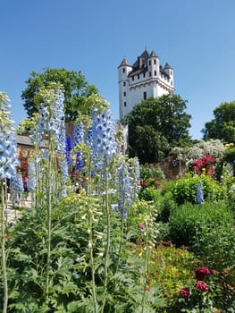 Burg Eltville,  Deutschland,  Eltville,  Rhein