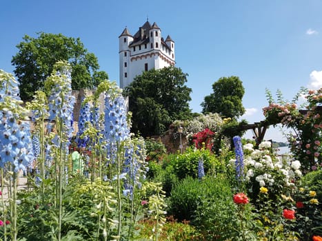 Burg Eltville,  Deutschland,  Eltville,  Rhein