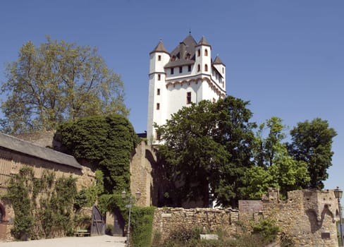 Kurfuerstliche Burg Eltville, Landschaft