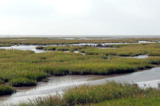 Kuestenschutz, Entwaesserung, Friedrichskoog