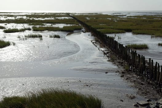 Kuestenschutz, Entwaesserung, Friedrichskoog