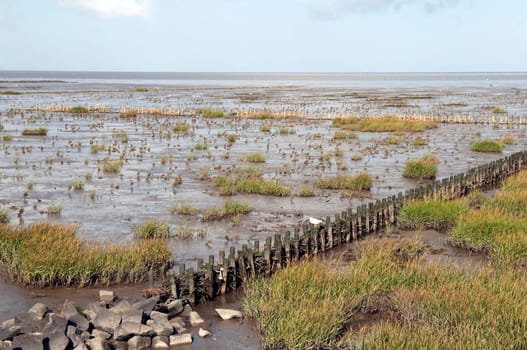 Kuestenschutz, Entwaesserung, Friedrichskoog