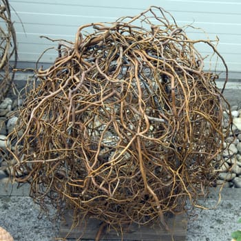 Kugel aus Aesten