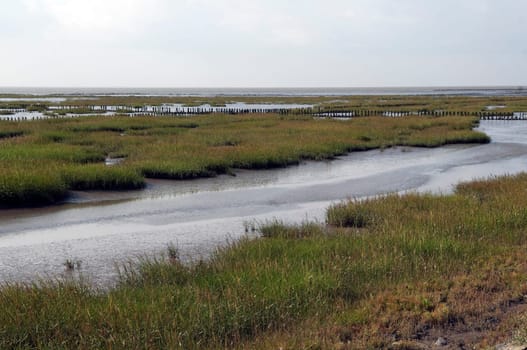Kuestenschutz, Entwaesserung, Friedrichskoog