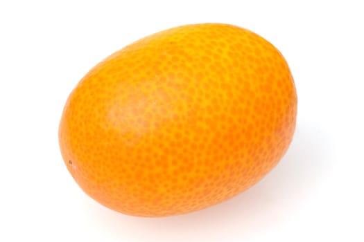 Kumquats  Fortunella  Citrus
