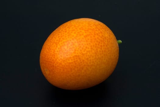 Kumquats  Fortunella  Citrus