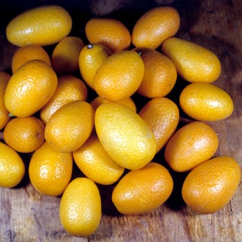 Kumquats  Fortunella