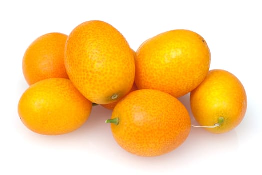 Kumquats  Fortunella  Citrus