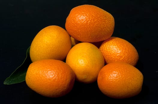 Kumquats  Fortunella  Citrus
