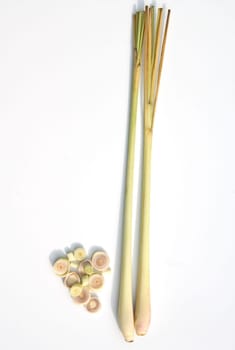 Zitronengras  Cymbopogon citratus