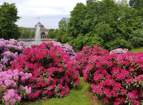 Kurpark, Wiesbaden, Englische, Parkanlage