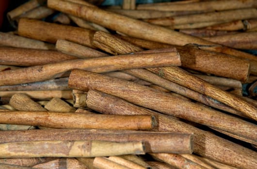 Zimt  Blätter  Ceylon  Cinnamomomum Zeylanicum