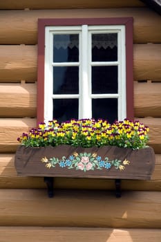 Blumenfenster, Stiefmuetterchen