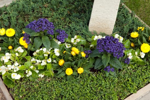 Grabbepflanzung  Randbepflanzung, Blumen