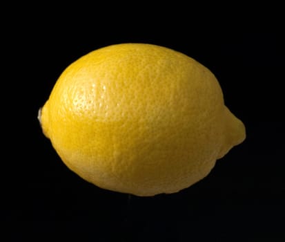 Zitrone, Citrus, limon