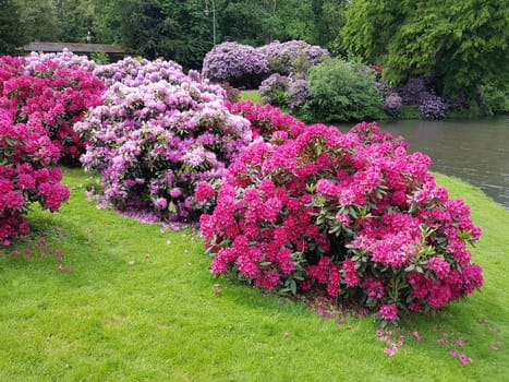 Kurpark, Wiesbaden, Englische, Parkanlage