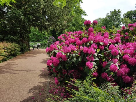 Kurpark, Wiesbaden, Englische, Parkanlage