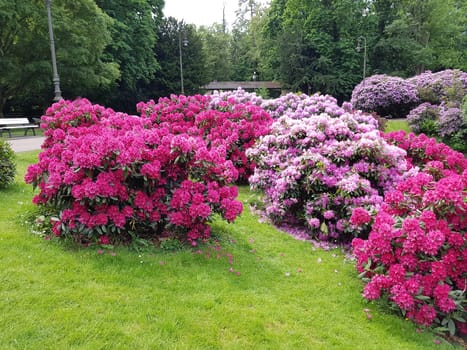 Kurpark, Wiesbaden, Englische, Parkanlage