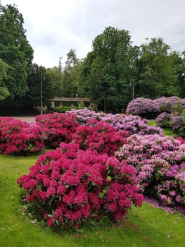Kurpark, Wiesbaden, Englische, Parkanlage