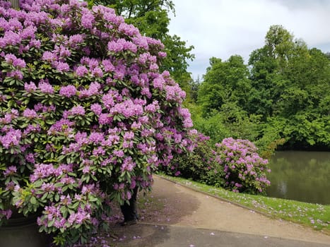 Kurpark, Wiesbaden, Englische, Parkanlage